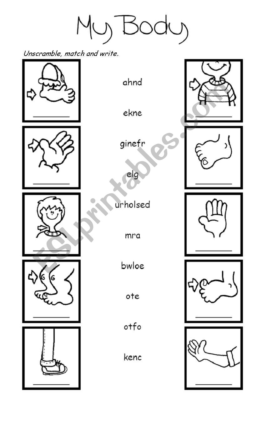 my-body-esl-worksheet-by-karenm