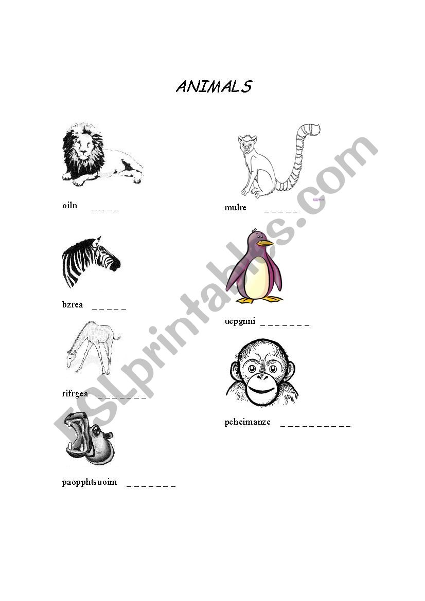 Madagascar (movie) worksheet worksheet