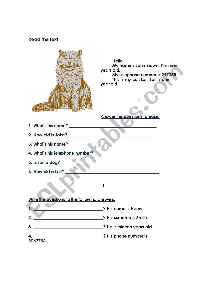 Lori, my cat worksheet