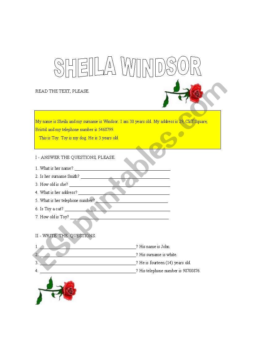 Sheila Windsor worksheet