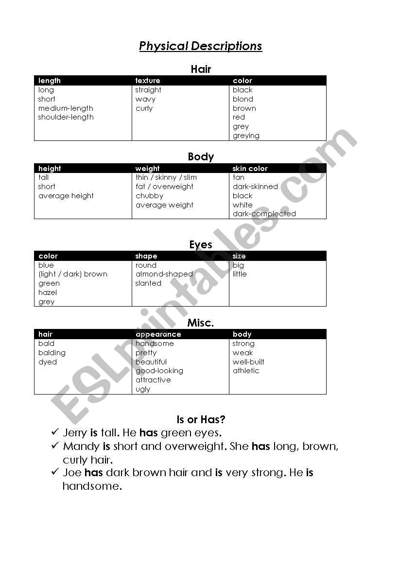 Physical Descriptions worksheet