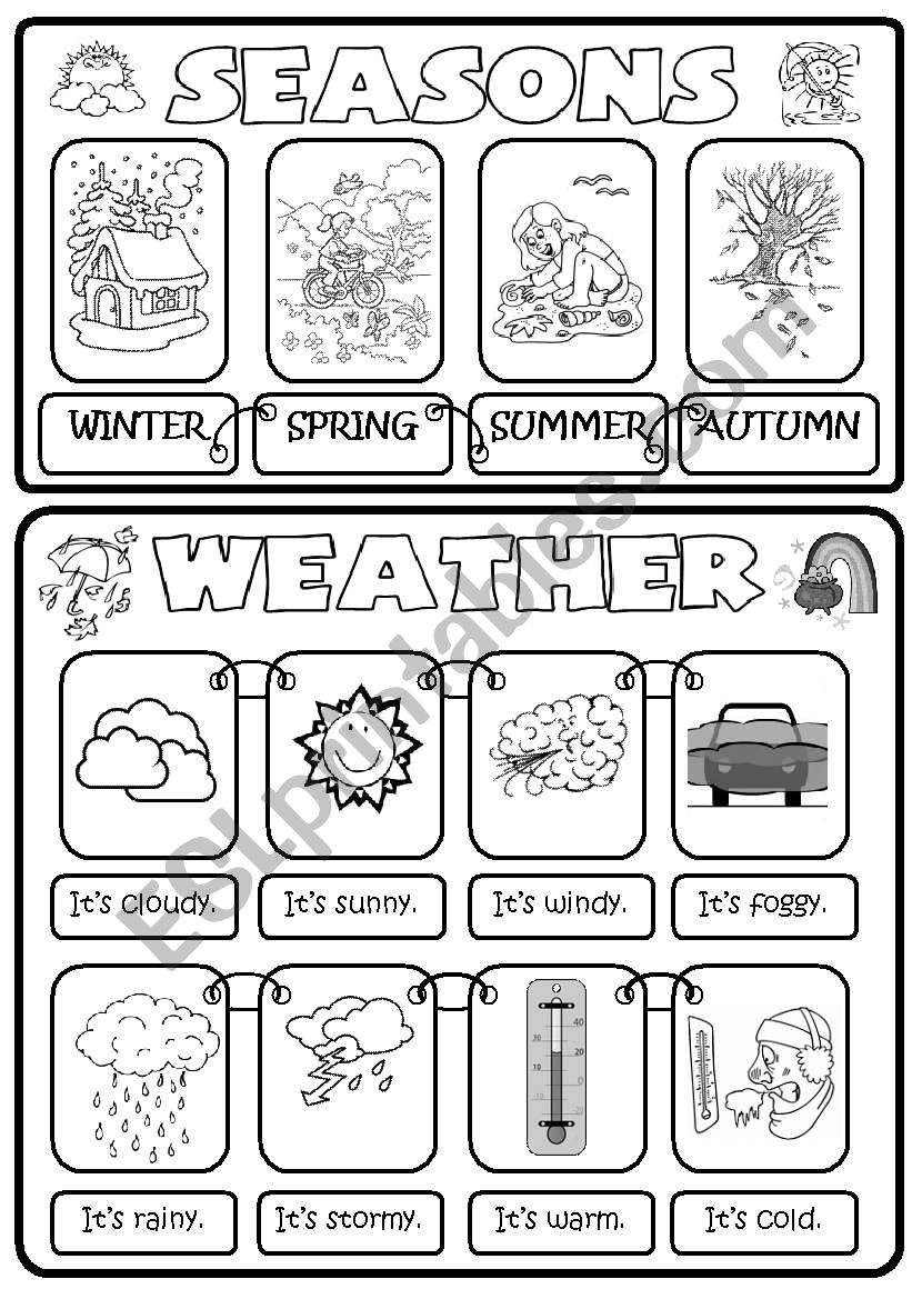 SEASONS & WEATHER  worksheet