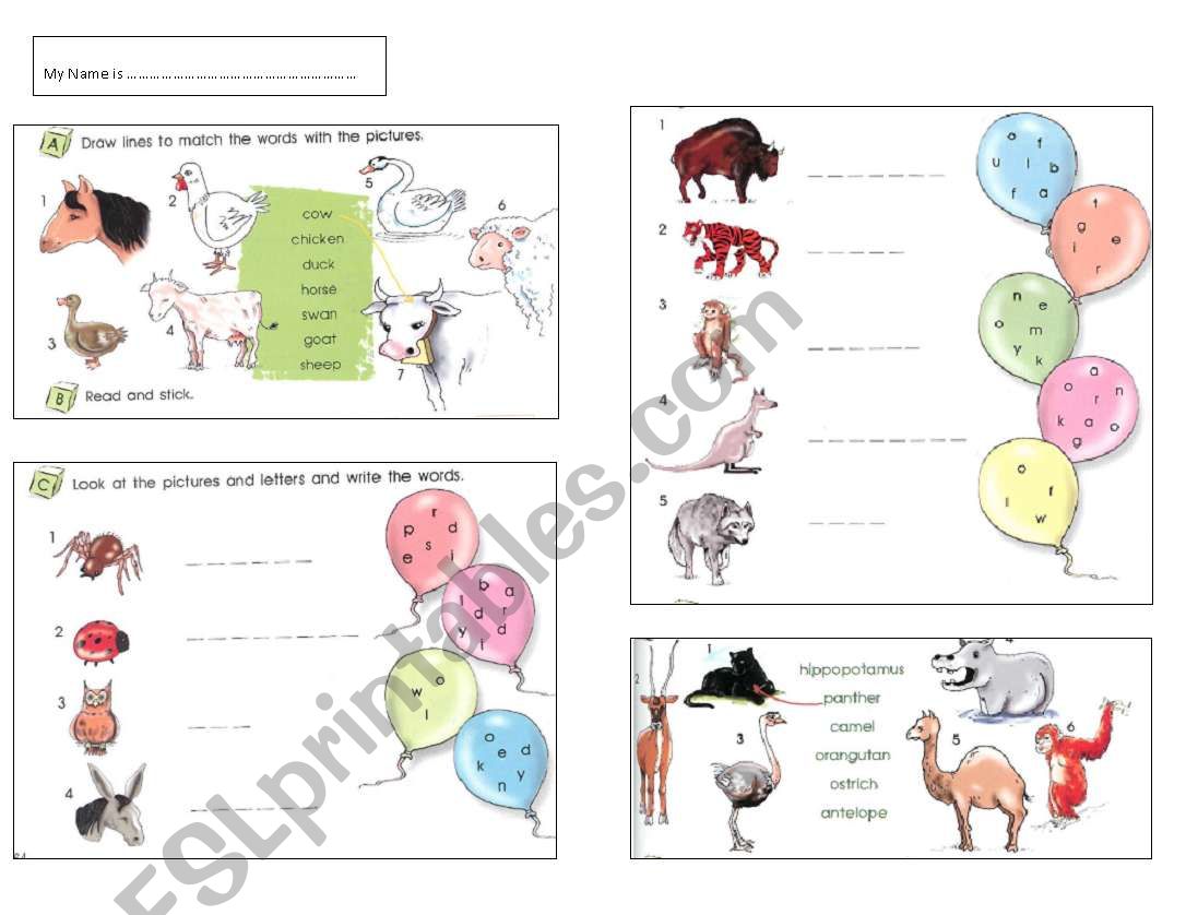 animals worksheet