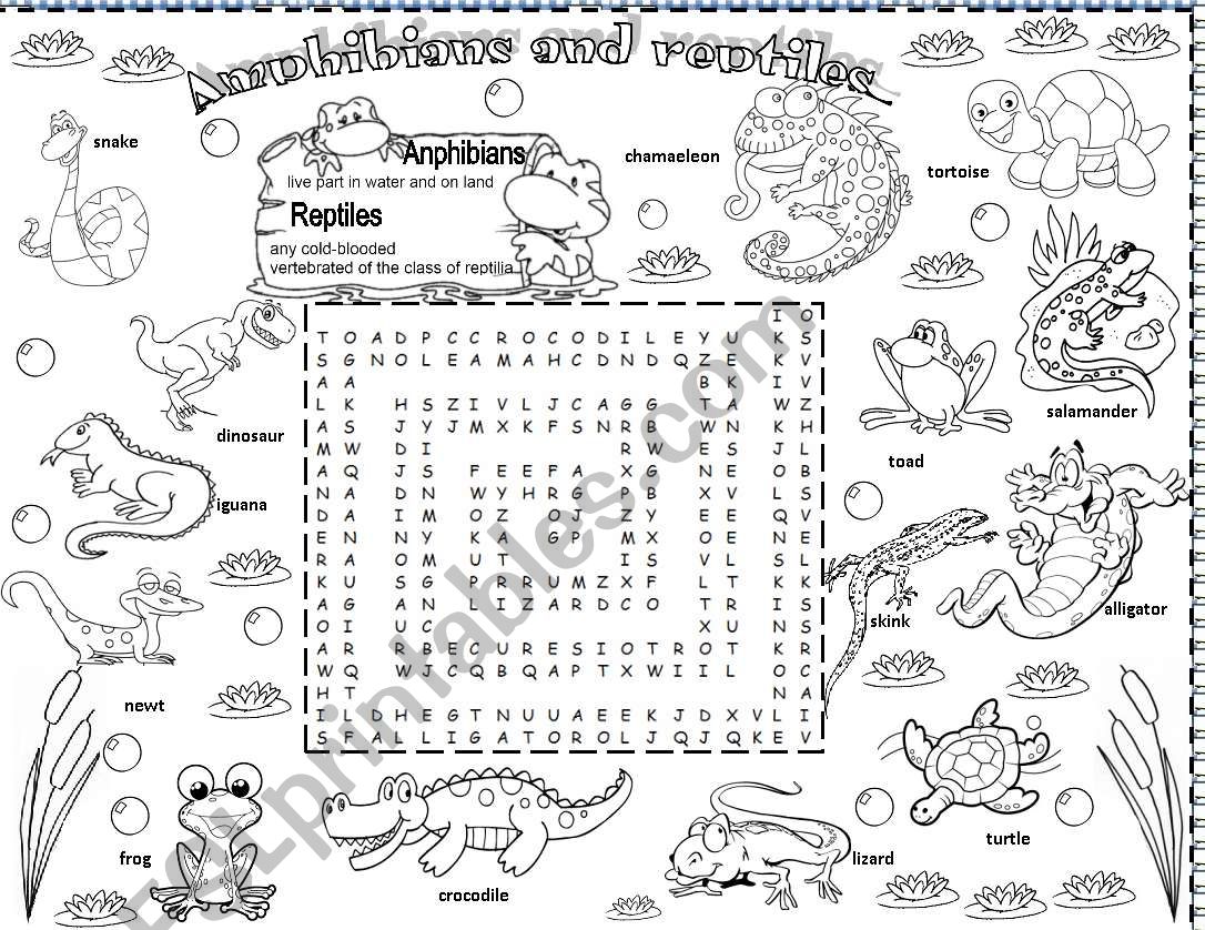 amphibians and reptiles worksheet