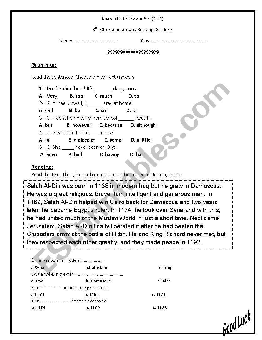 Reading and Grammar Quiz worksheet