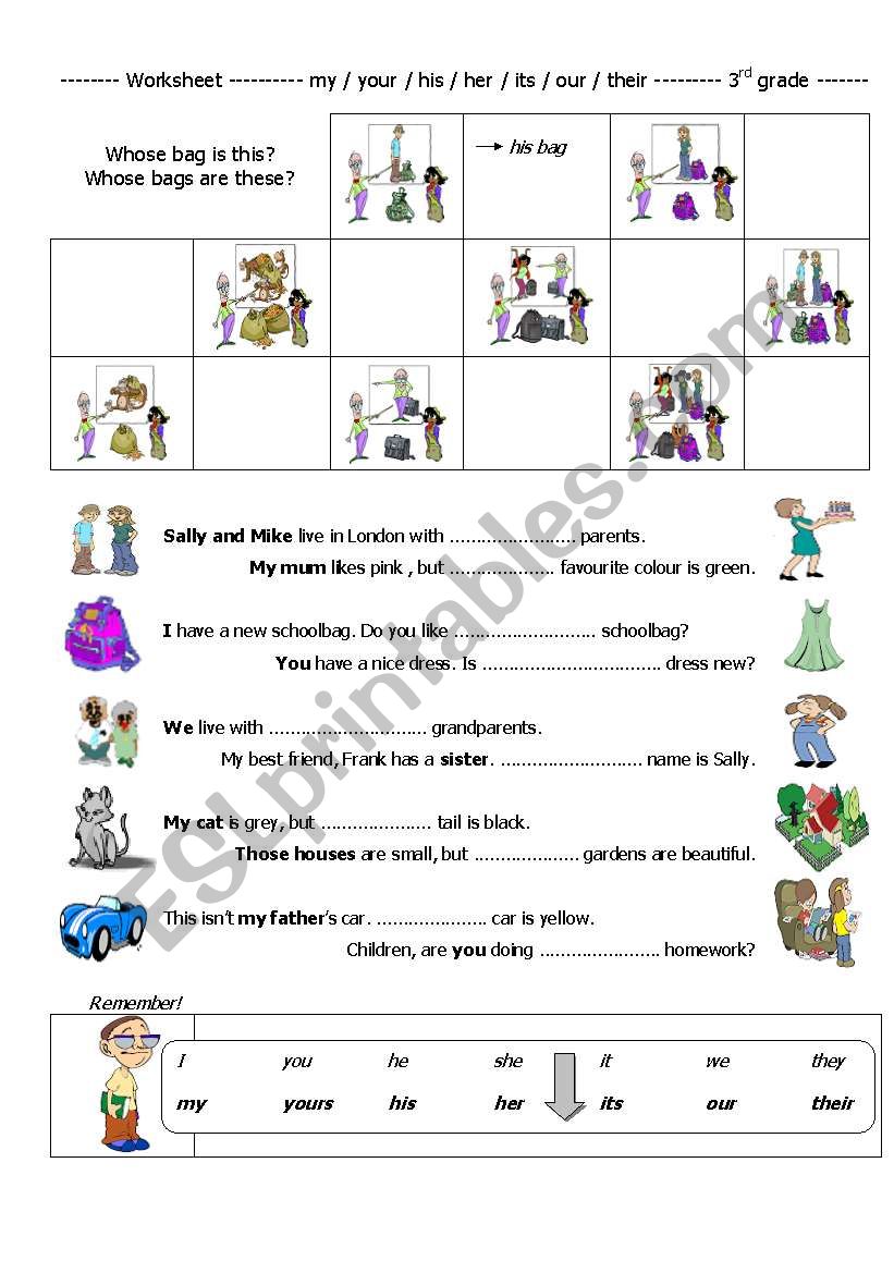 Possessive adjectives worksheet