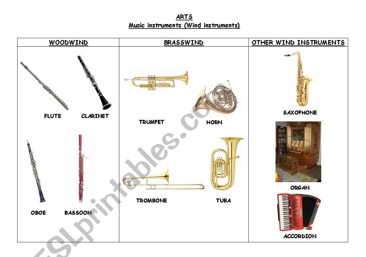 MUSIC INSTRUMENTS. WINDS worksheet