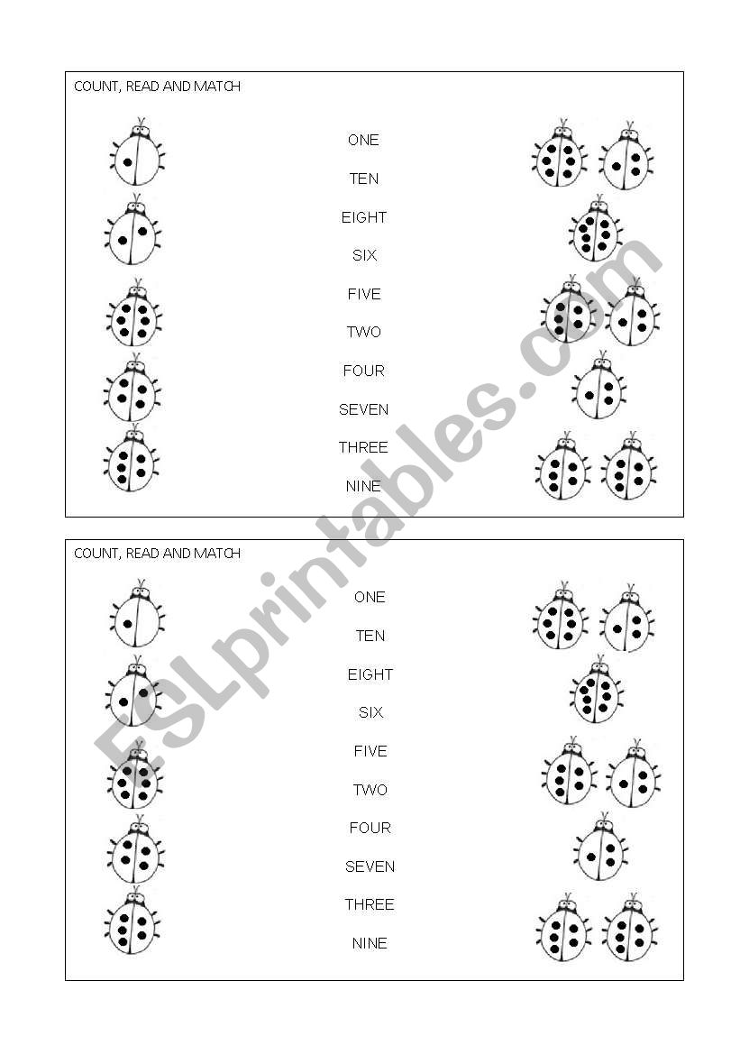 Numbers MATCHING worksheet