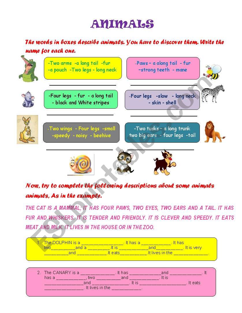 Nouns & Adjectives for describing animals