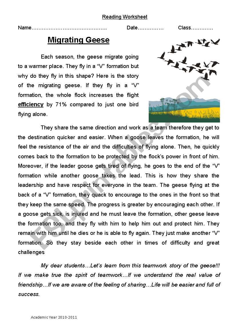 Migrating Geese worksheet