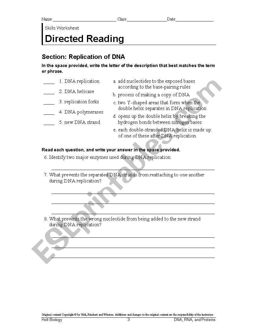 World History worksheet