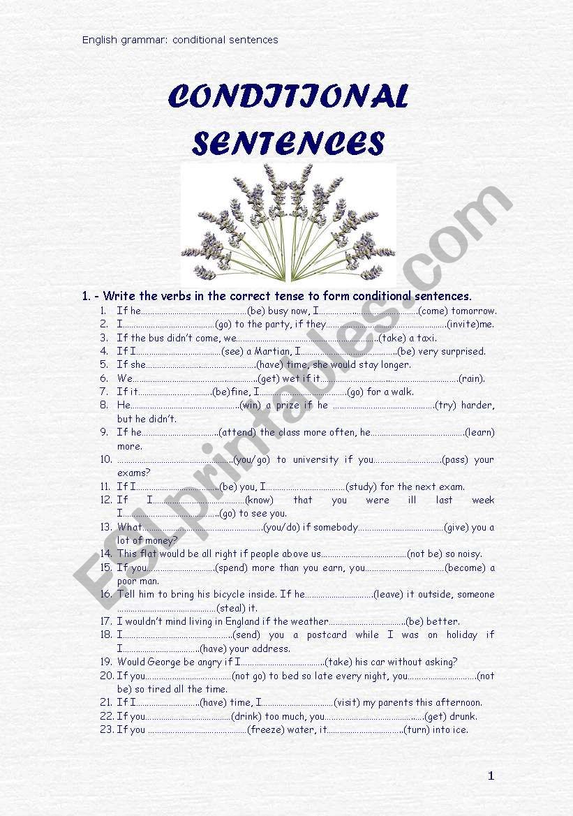 Conditional sentences Exercises