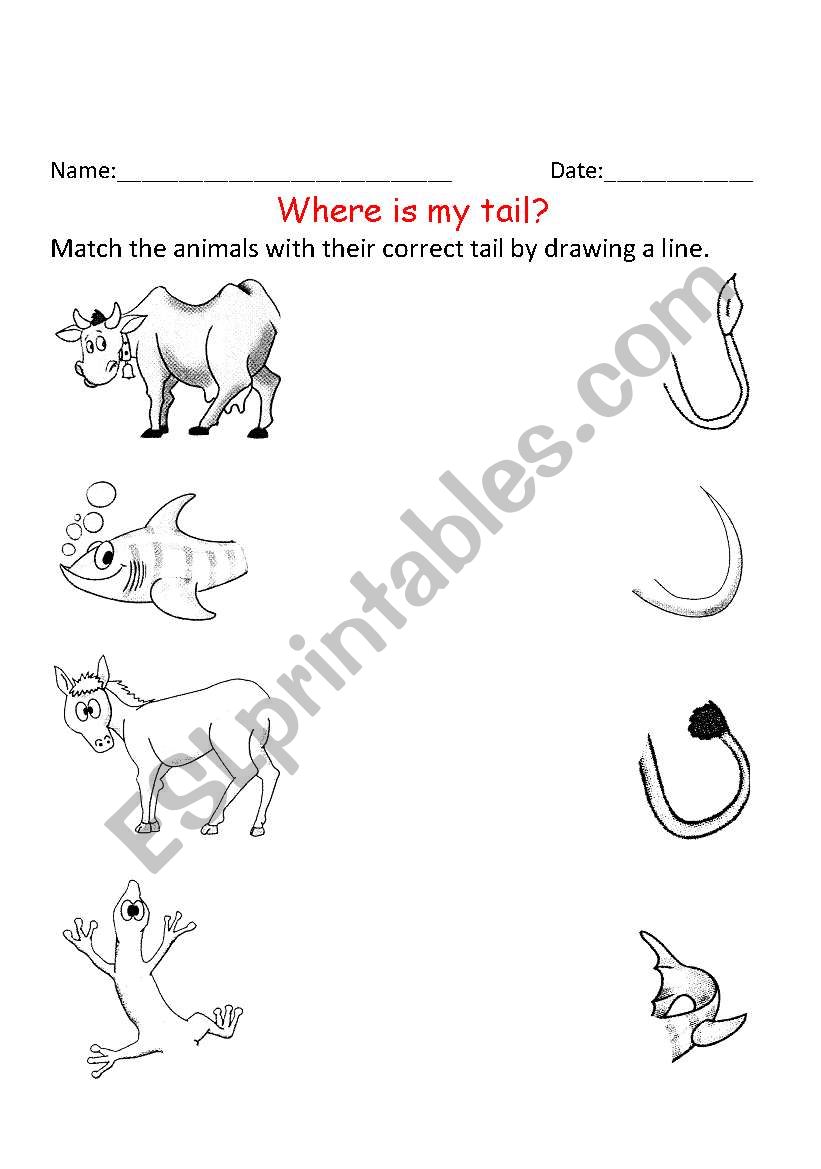 where is my tail??? animals with tail