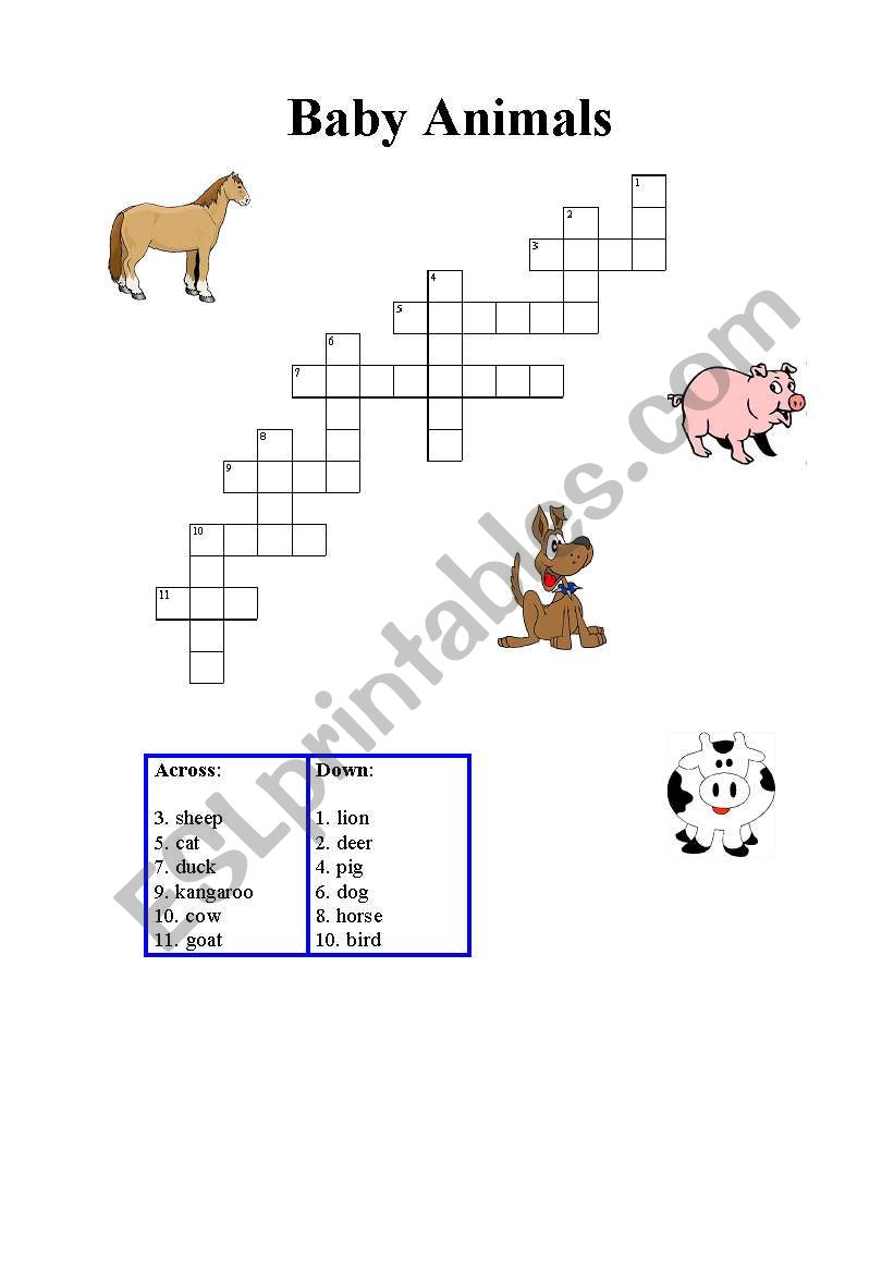 babies animals  worksheet