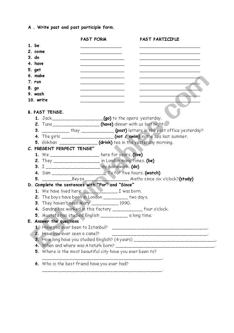 present perfect tense worksheet