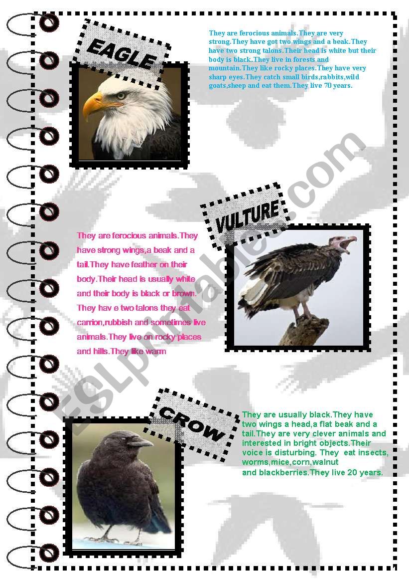 FACT ABOUT ANIMALS SERIES 1 (birds 1 )