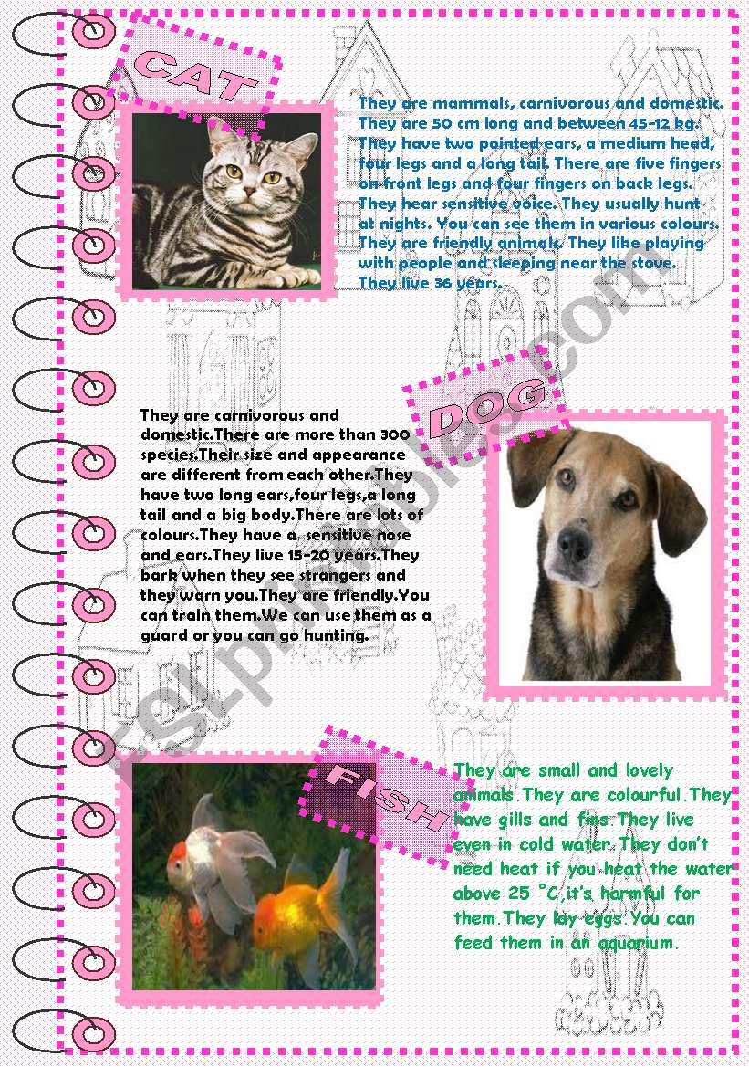 FACTS ABOUT ANIMALS 2 (domestic animals 1) - ESL worksheet by nergisumay