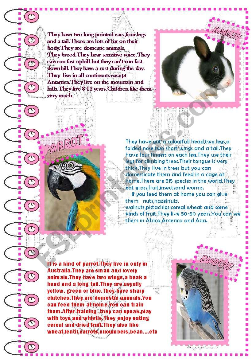 FACTS ABOUT ANIMALS 3 (domestic animals 2) - ESL worksheet by nergisumay