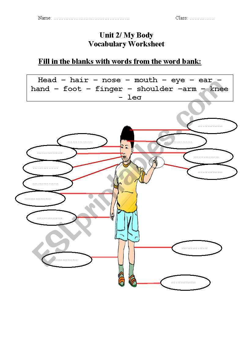 body parts worksheet