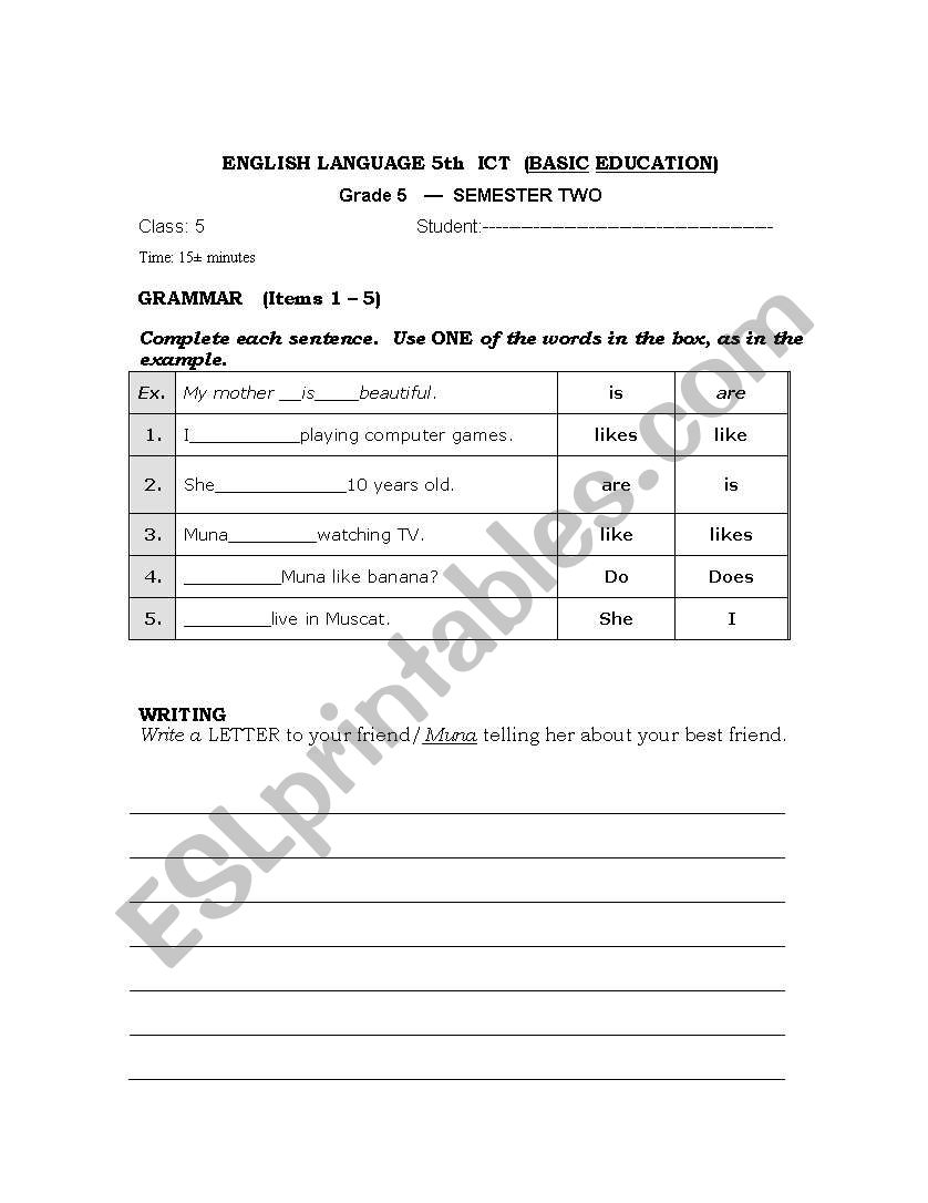 Grammar & writing quiz worksheet