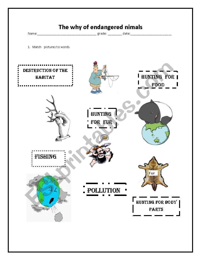 Why are animals in danger worksheet