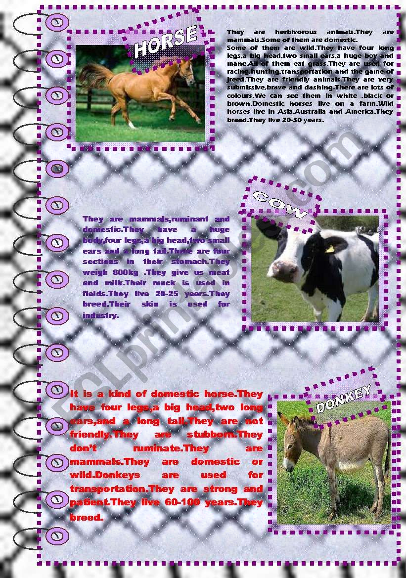 FACTS ABOUT ANIMALS 5 (farm animals 2) - ESL worksheet by nergisumay
