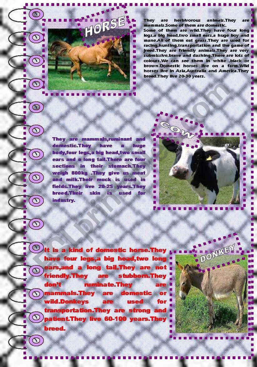 FACTS ABOUT ANIMALS 5 (farm animals 2)