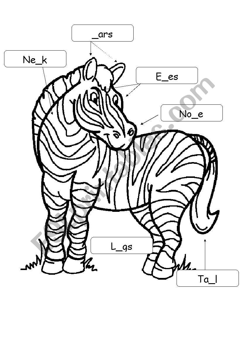 A zebra worksheet