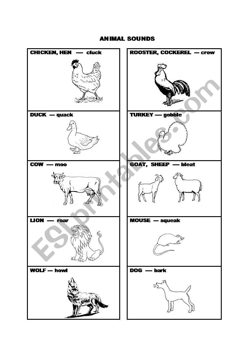 Animals Flashcard & Coloring sheet pt 1