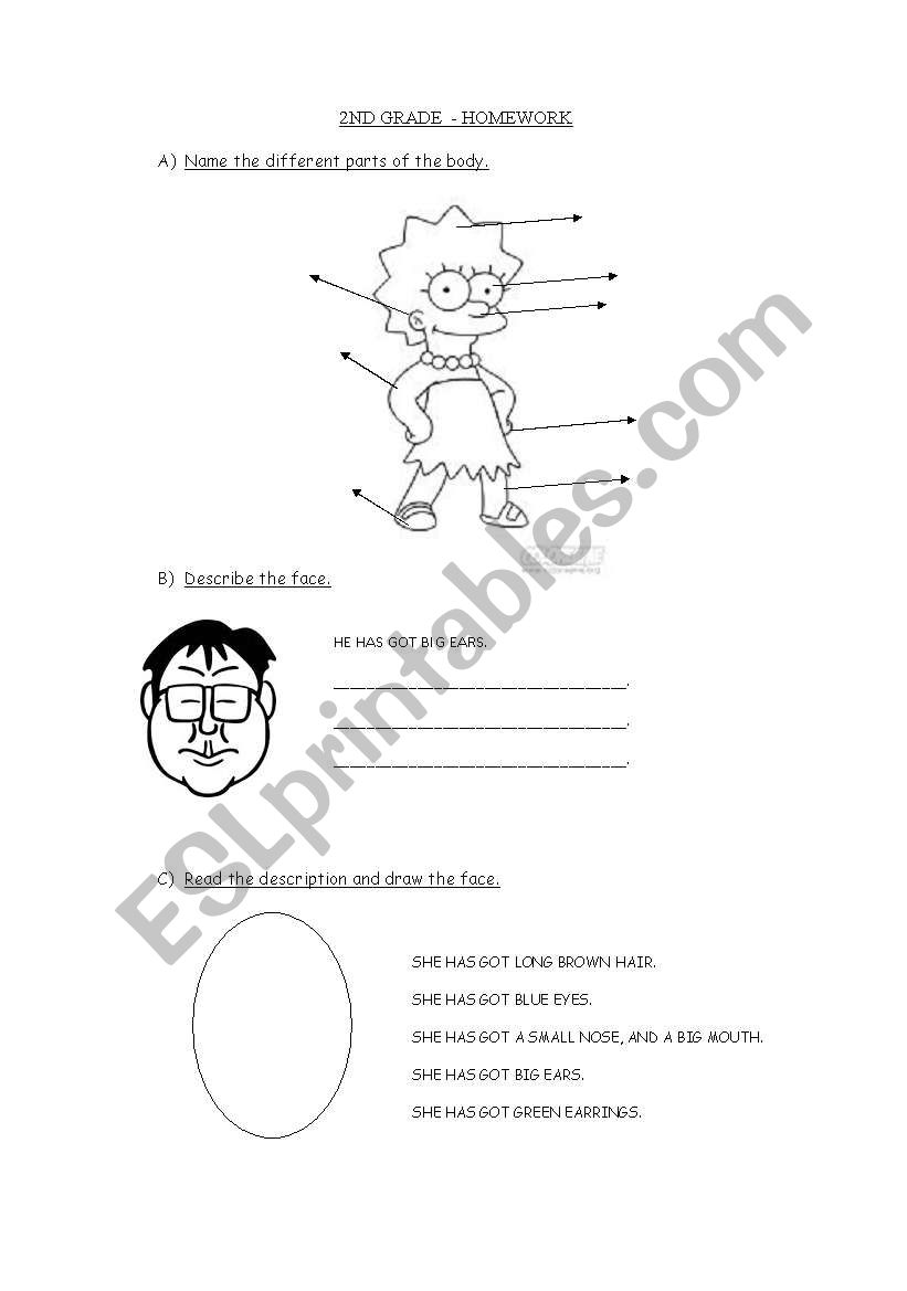 BODY AND FACE REVISION worksheet