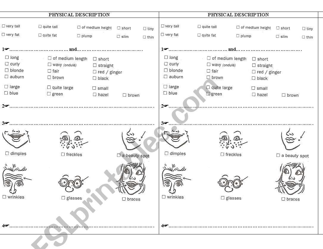 physical description worksheet