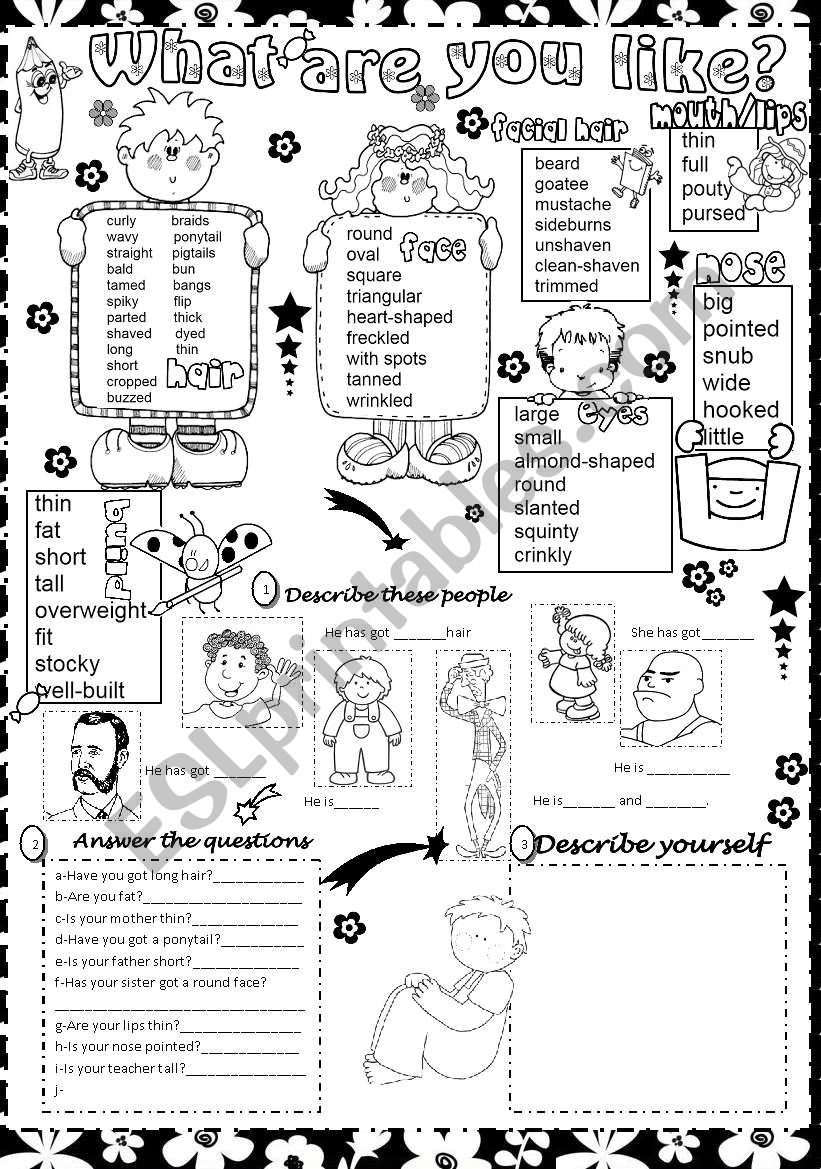 what are you like ? worksheet