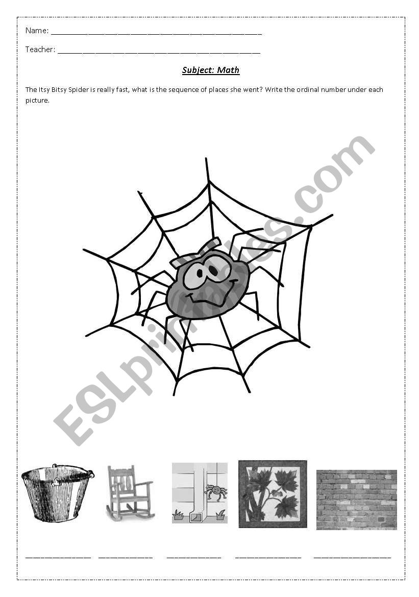 The itsy bitsy spider worksheet