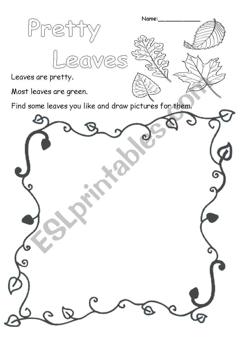 Pretty Leaves worksheet