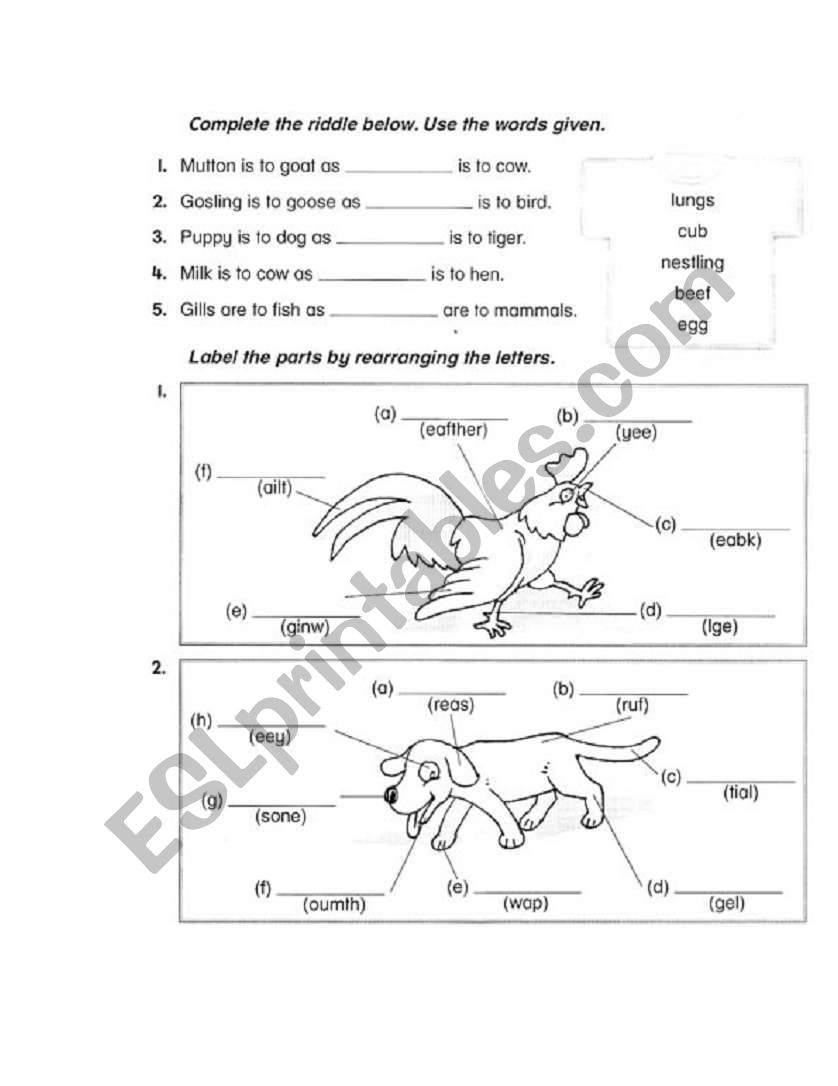 Riddles on Animals worksheet