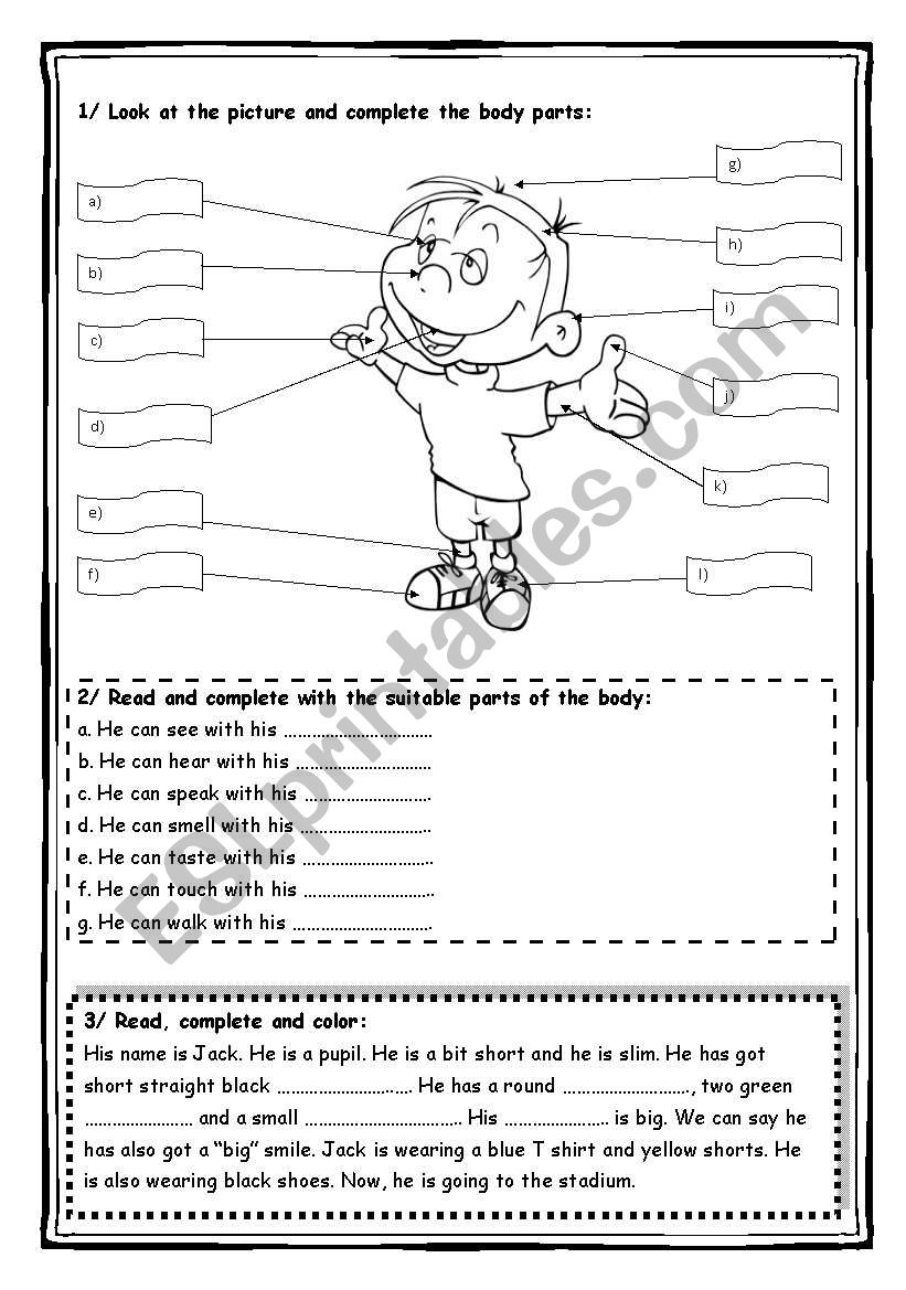 parts of the body worksheet