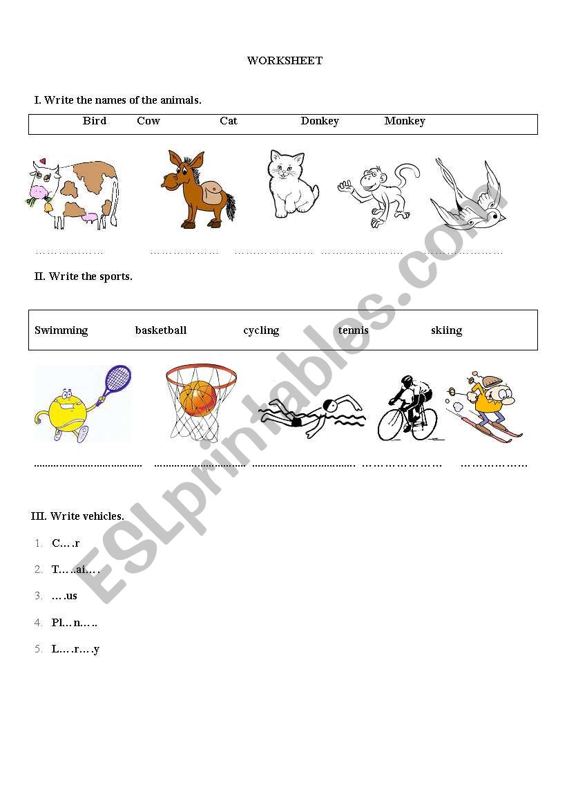 Quiz worksheet