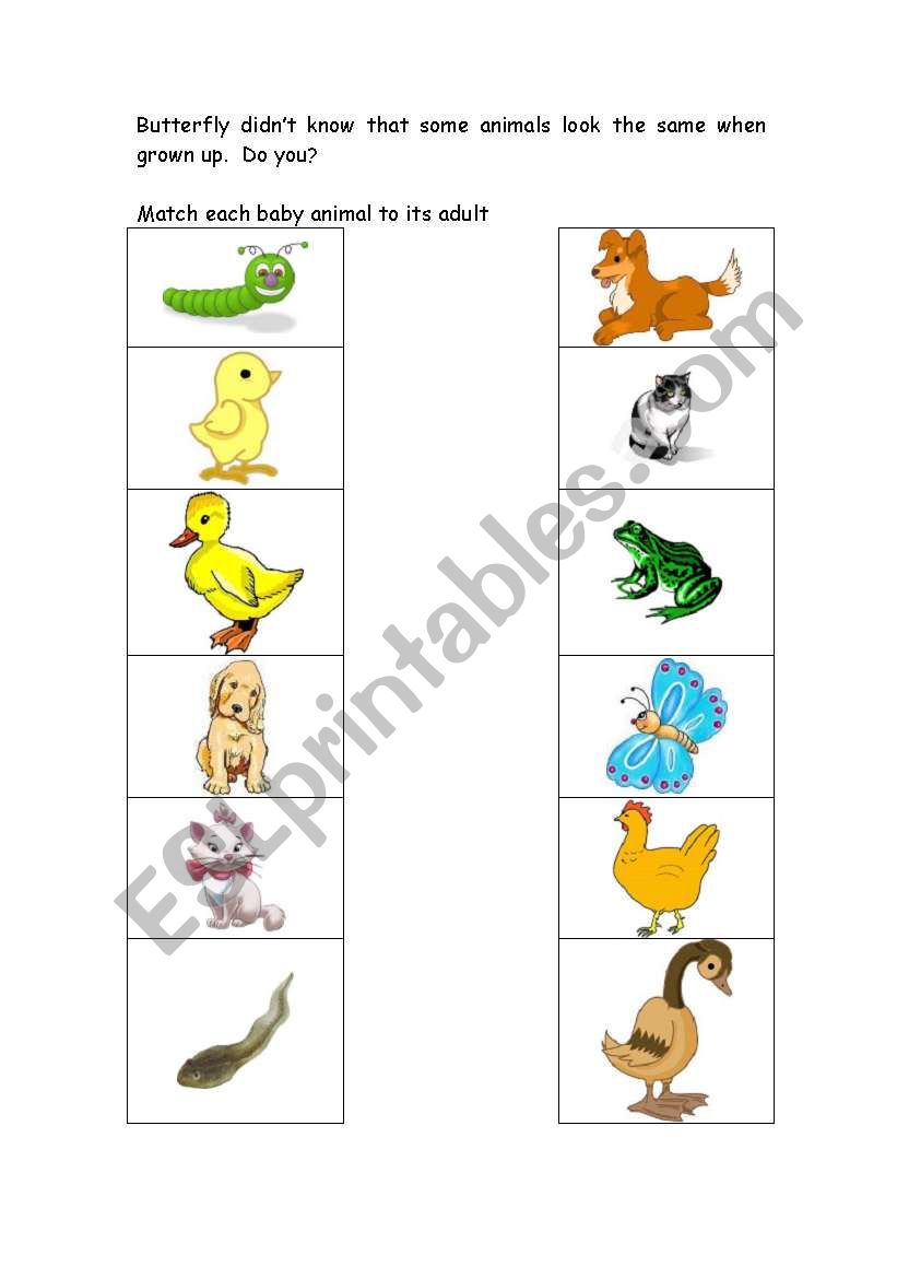 Animal Matching worksheet