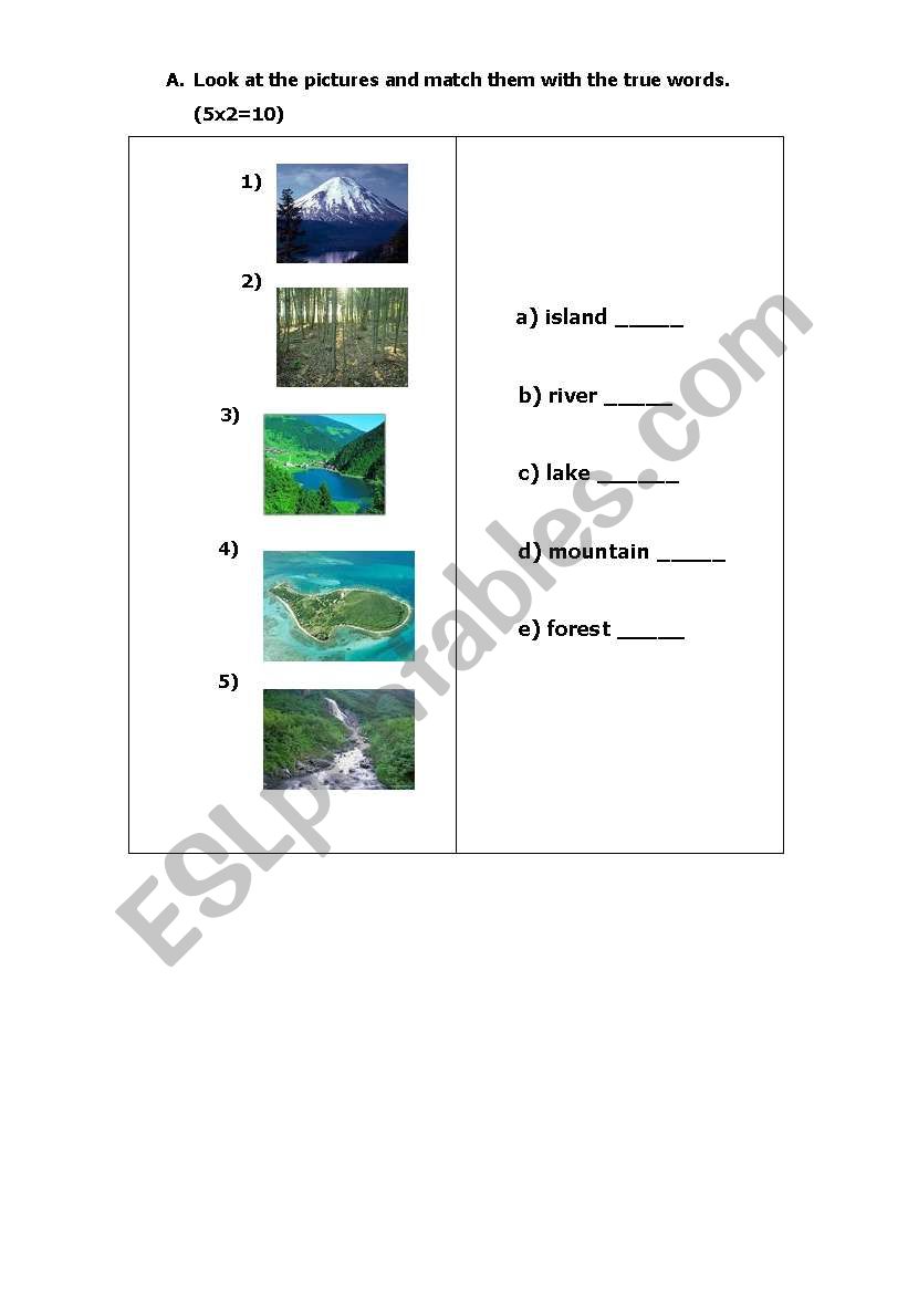 activities worksheet