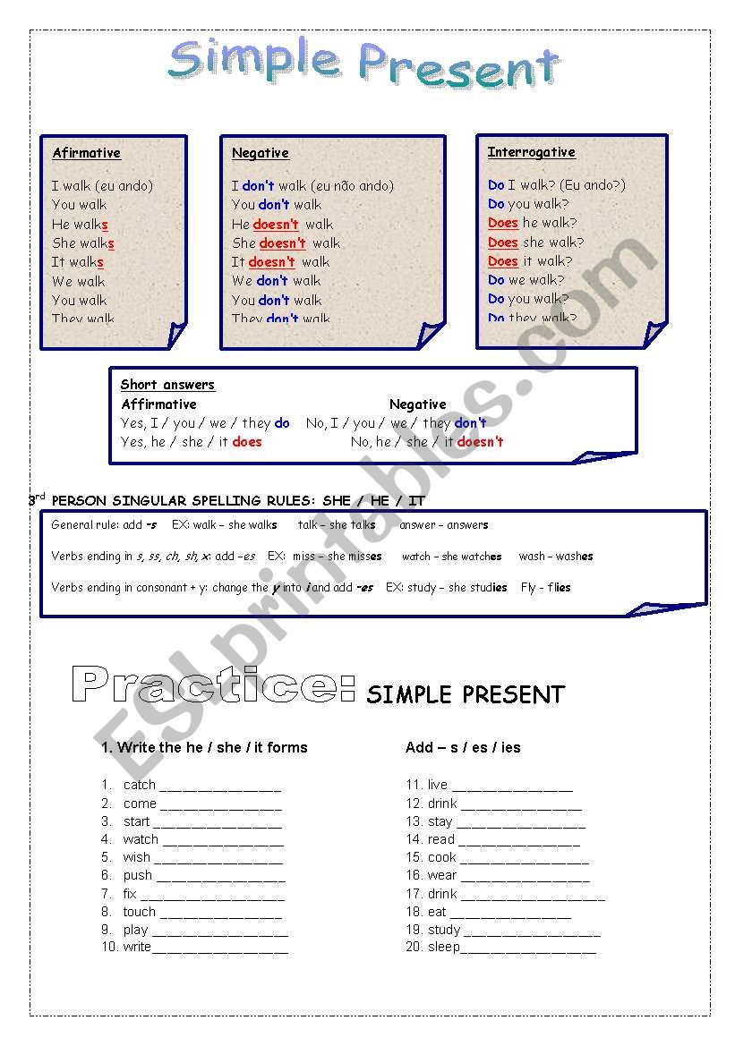 Simple Present Pratice worksheet