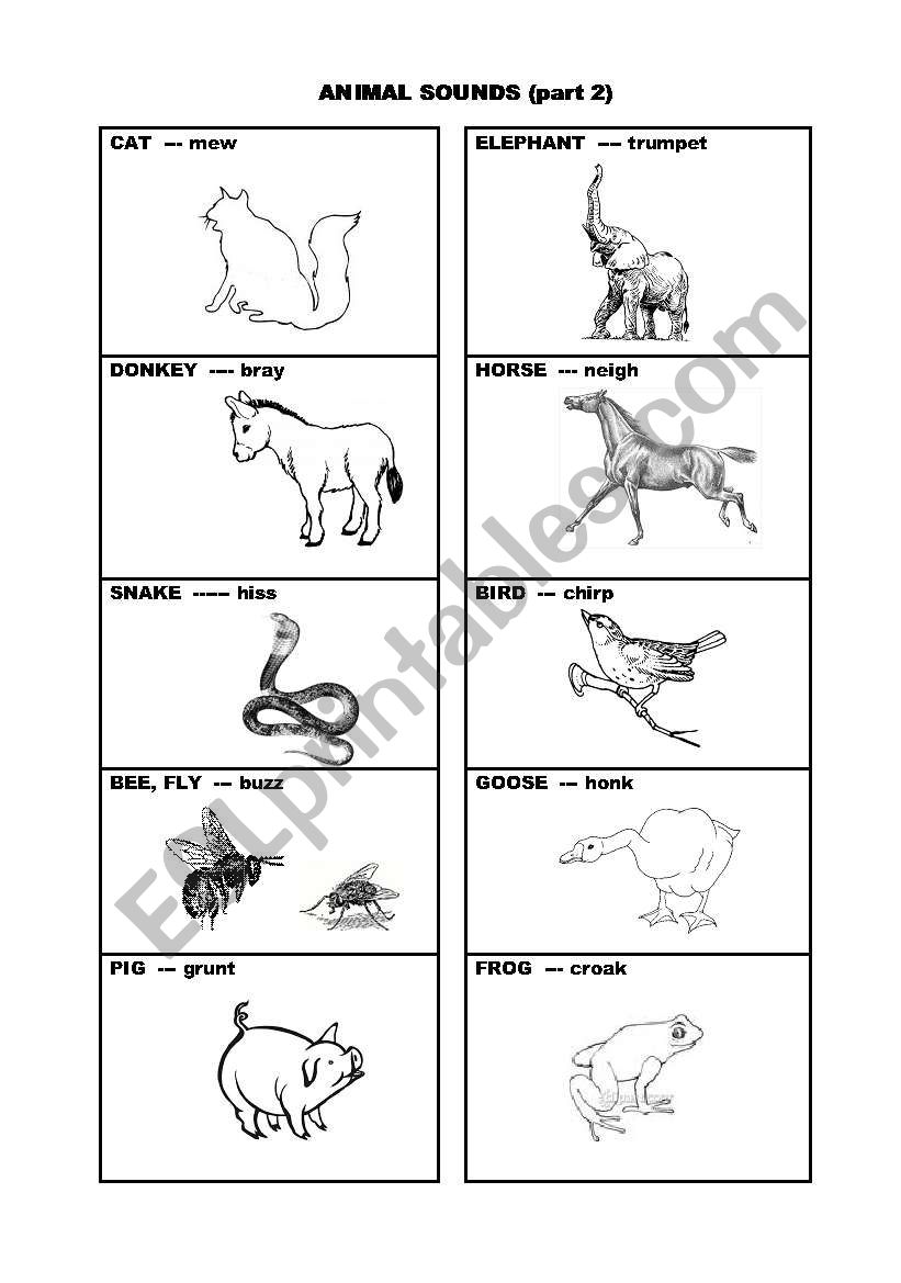 Animal sounds (part 2) worksheet