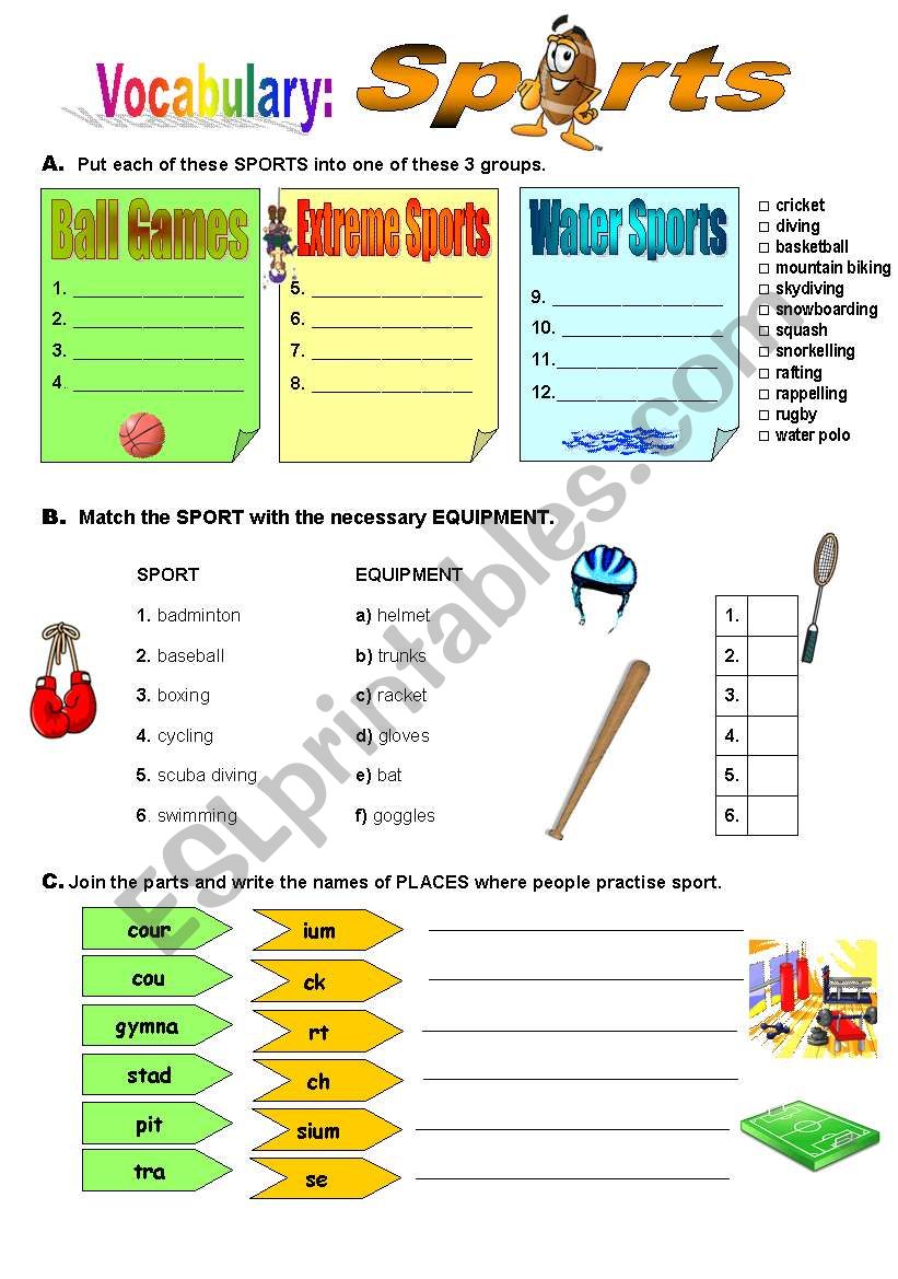 Sports worksheet