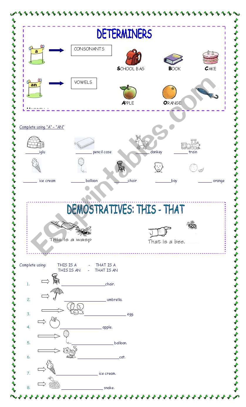 determiners A /AN DEMOSTRATIVES THIS / THAT