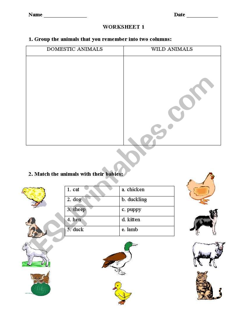 ANIMALS worksheet