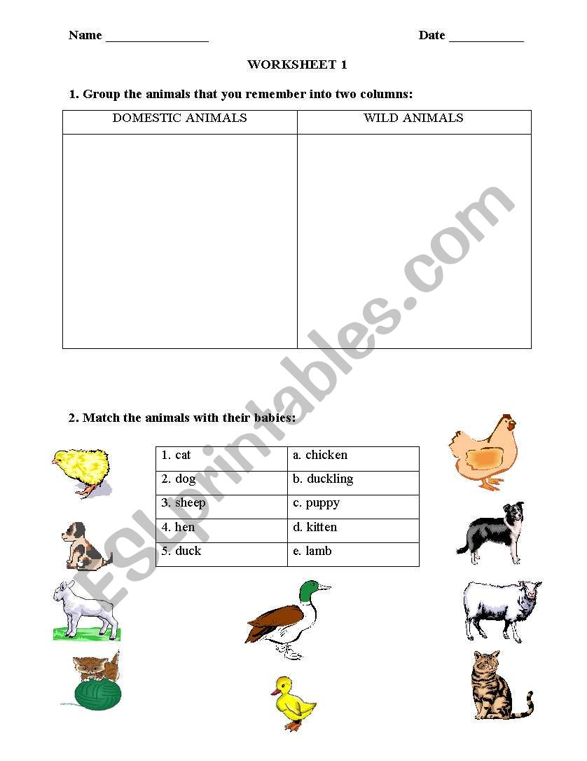 ANIMALS worksheet