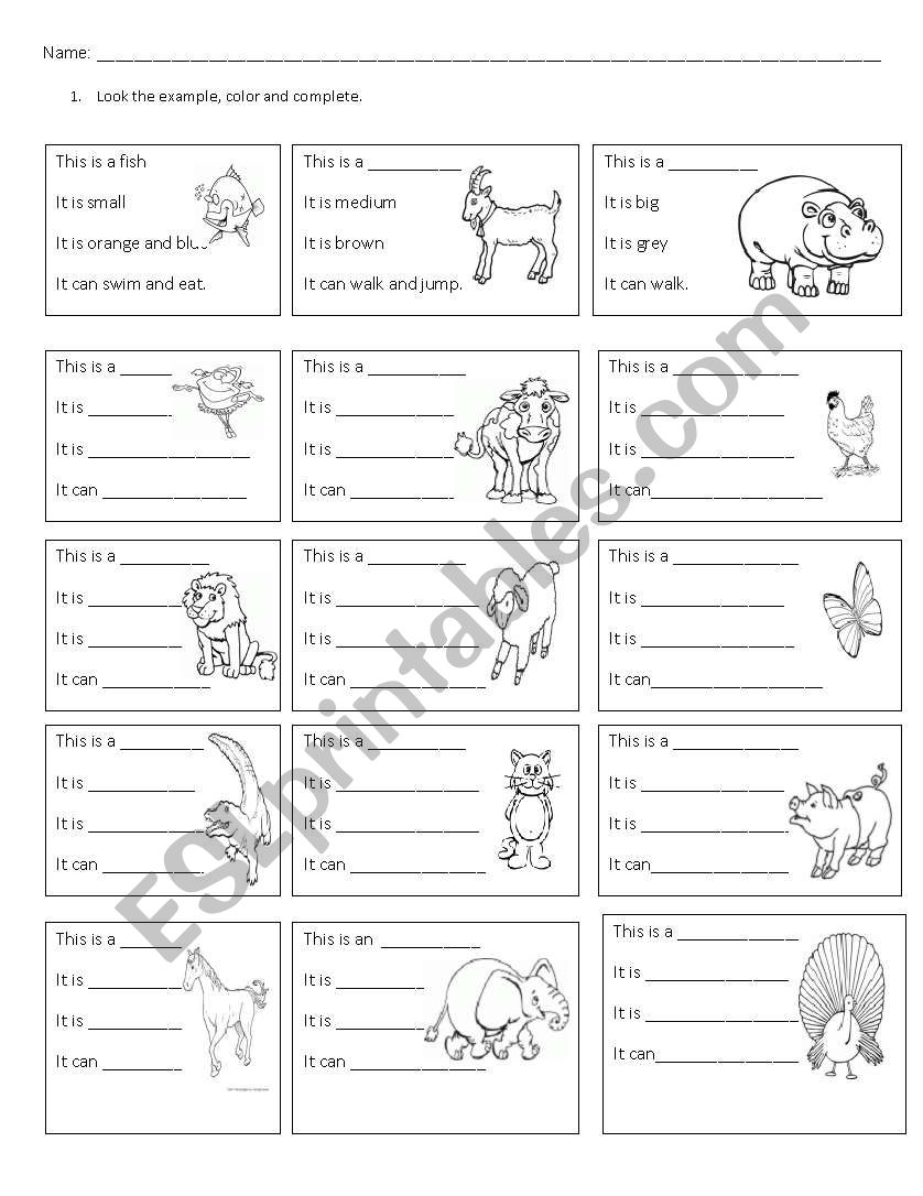 Animals and Colours worksheet