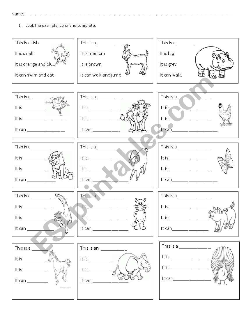 Animals and Colours worksheet