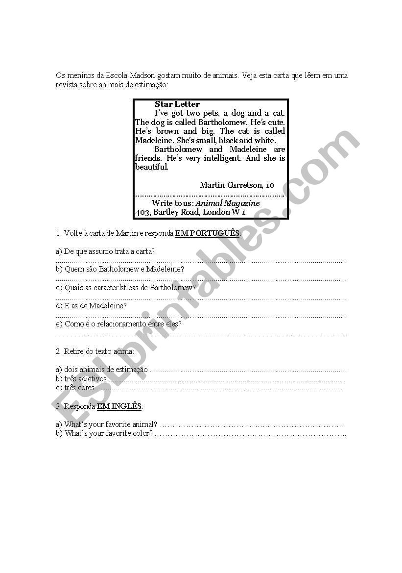 reading activity worksheet