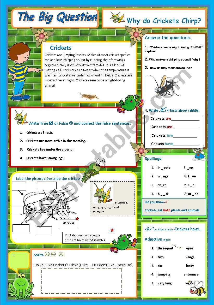 Why do Crickets Chirp - A science Question   5