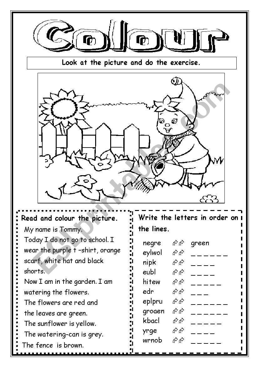 Colour worksheet